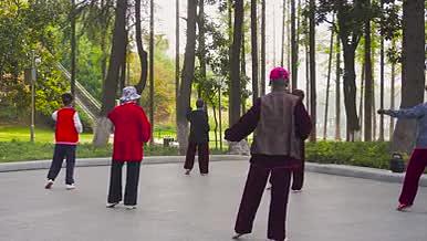 4K实拍退休生活公园老年人锻炼身体打太极视频的预览图